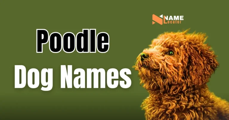 A list of poodle dog names in different fonts and colors on a green background