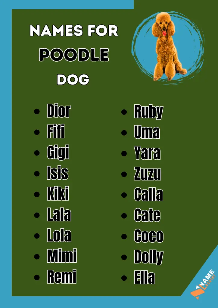 A list of poodle dog names in different fonts and colors on a green background