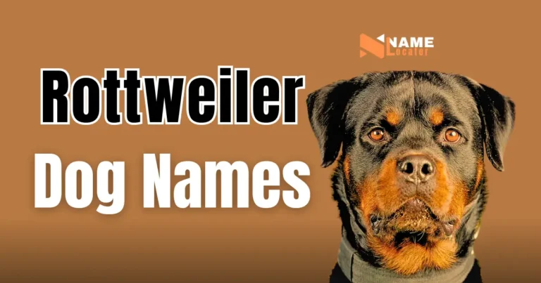 List of names for Rottweiler dogs