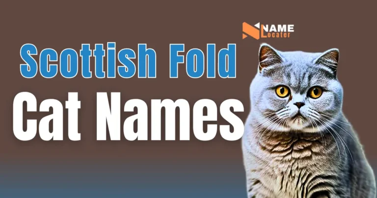 List of Scottish Fold cat names