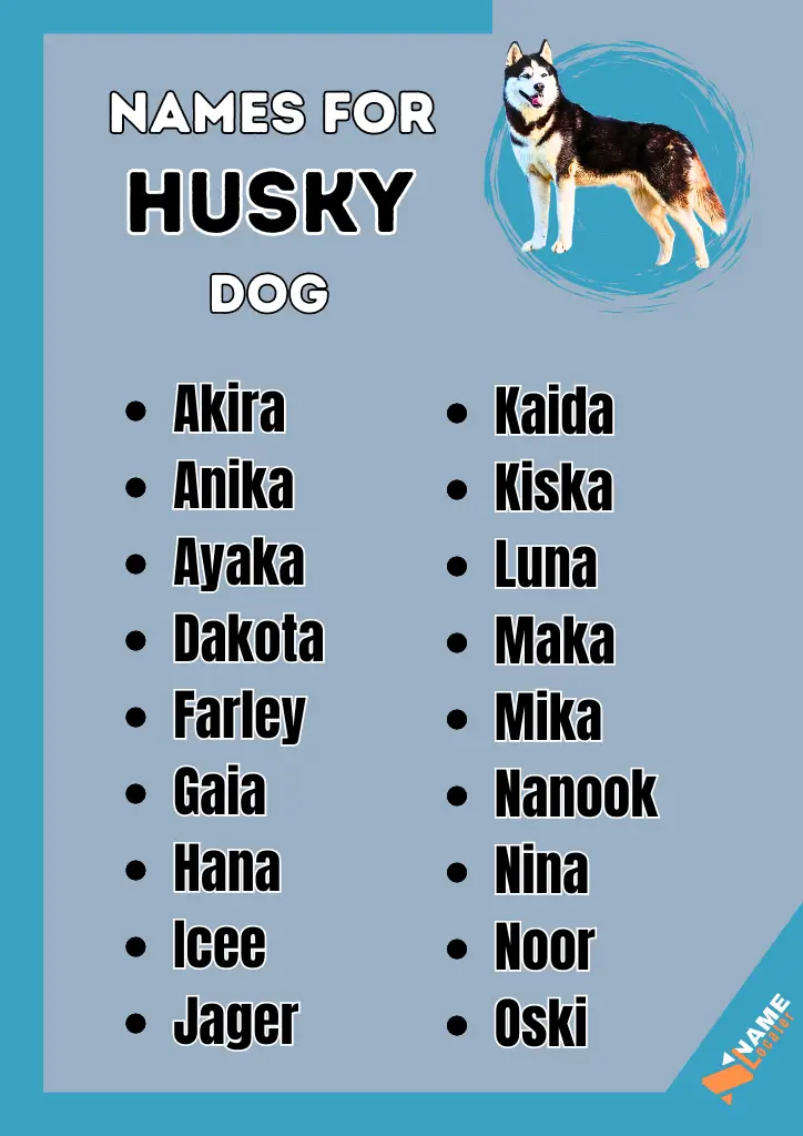 A list of names for Siberian Husky dog