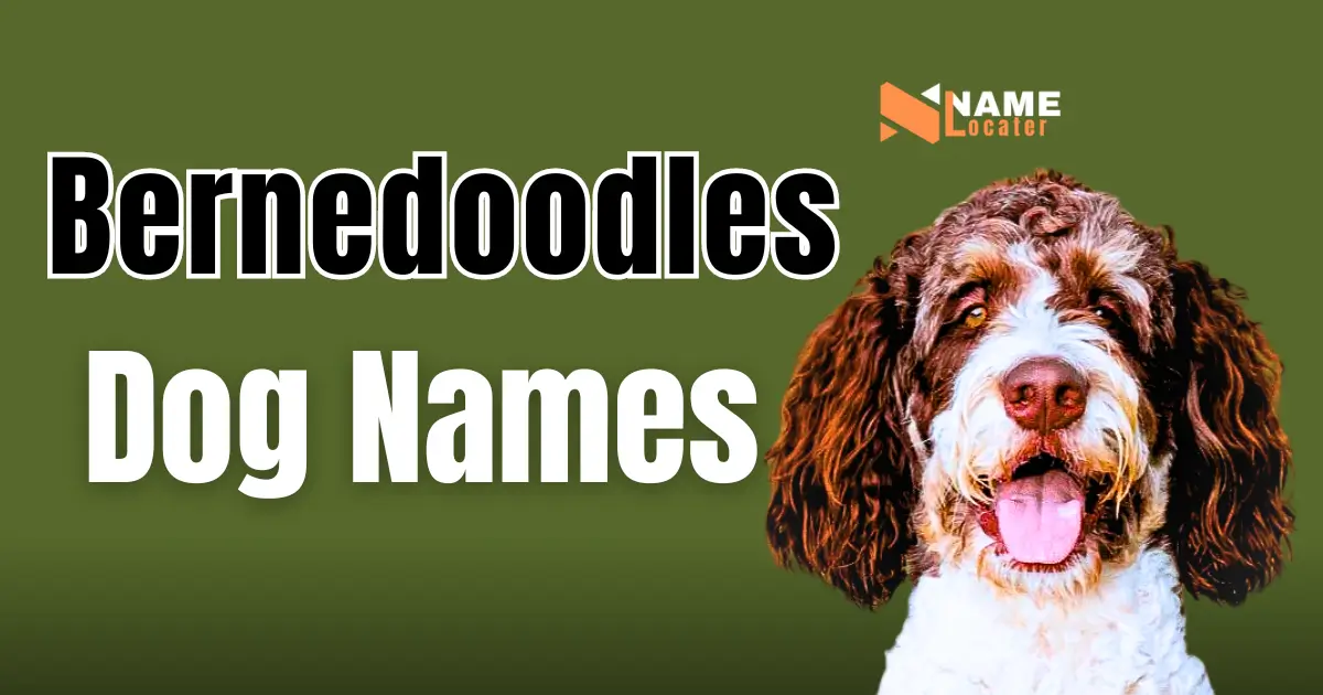 List of Bernedoodle dog names