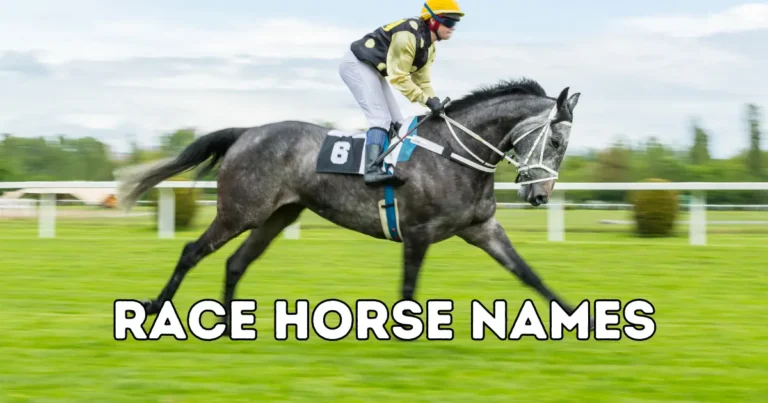 Race Horse Names