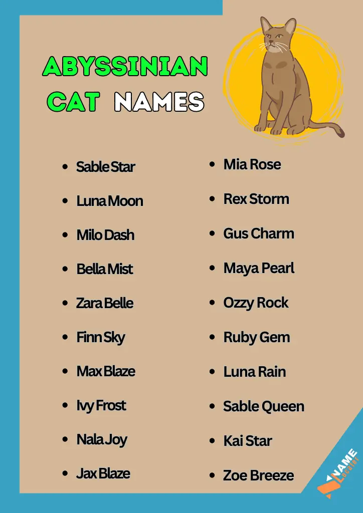 20 Abyssinian cat name ideas