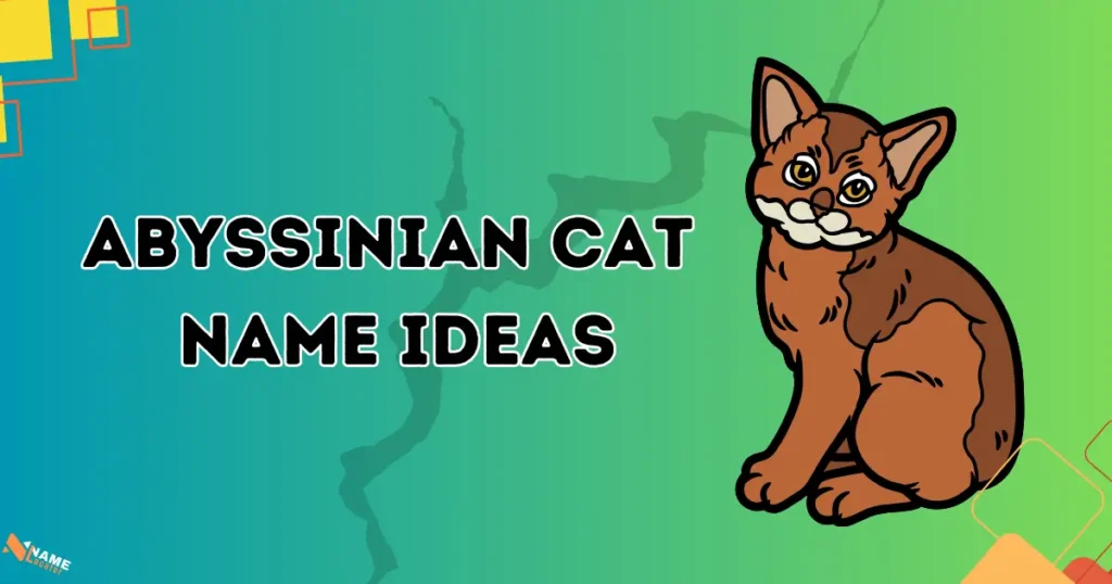 Abyssinian cat name ideas