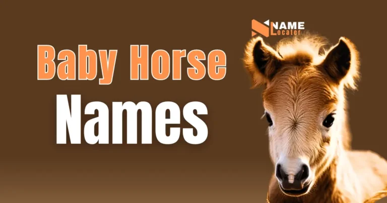 A colorful list of baby horse names, including "Blaze," "Star," "Dakota," "Dream," "Buckaroo," "Spirit," and more, with a cute illustration of a foal.