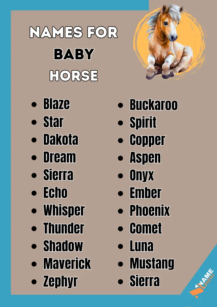 A colorful list of baby horse names, including "Blaze," "Star," "Dakota," "Dream," "Buckaroo," "Spirit," and more, with a cute illustration of a foal.