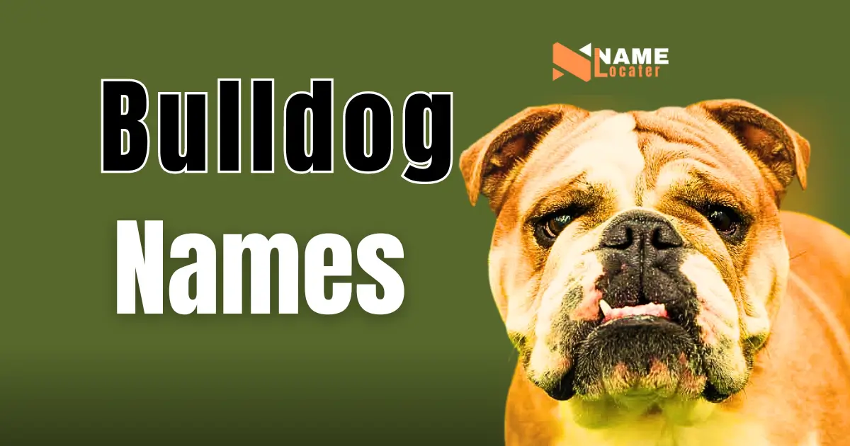 A brown bulldog with a wrinkled face and a determined expression, looking directly at the camera. The bulldog's mouth is open, revealing its teeth. The background is a solid green color with the text "Bulldog Names" in white, centered above the image.