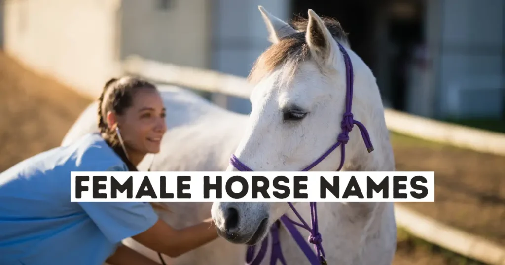 Female Horse Name Ideas