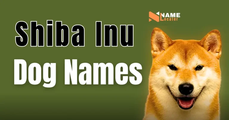 A Shiba Inu dog smiles at the camera. Looking for the perfect name for your Shiba Inu? We've got you covered! Check out our list of great Shiba Inu dog names.