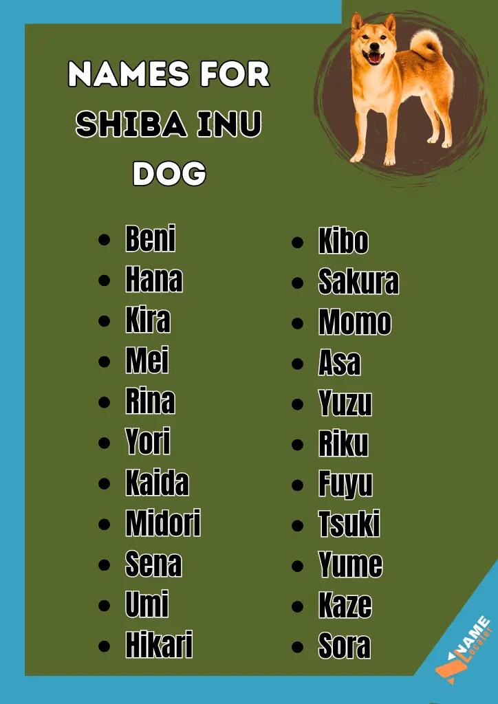 Looking for the perfect name for your Shiba Inu? We've got you covered! Check out our list of great Shiba Inu dog names.