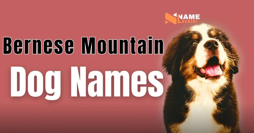 Bernese Mountain Dog Names - A happy Bernese Mountain Dog with a joyful expression, promoting name ideas for the breed.