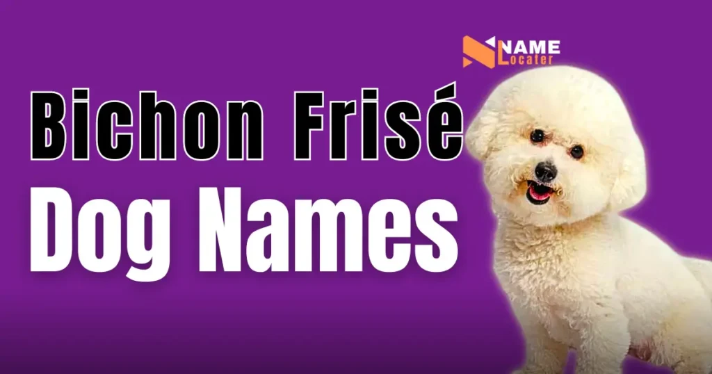 A vibrant purple banner showcasing "Bichon Frisé Dog Names" with an adorable white Bichon Frisé dog on the right-hand side. The text stands out in bold, emphasizing the focus on dog name ideas for the breed.