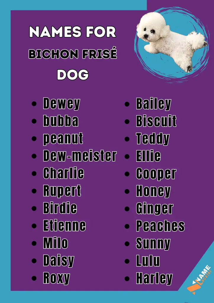 Image showing a list of names for Bichon Frisé dogs, displayed on a purple background with a cute Bichon Frisé dog image. The names are divided into two columns, with examples like "Dewey," "Bailey," "Teddy," and "Ellie."