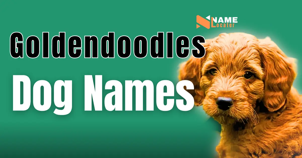 Banner image with the text 'Goldendoodles Dog Names' featuring a cute Goldendoodle puppy on the right side, set against a green background with the Name Locater logo in the top right corner.