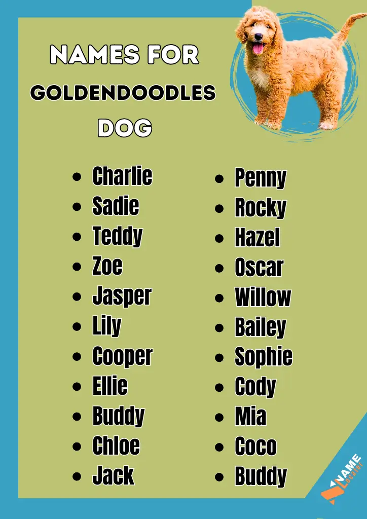 Image featuring a list of popular names for Goldendoodles, with a cute Goldendoodle puppy in the top right corner. Names listed include Charlie, Sadie, Teddy, Zoe, Jasper, Lily, Cooper, Ellie, Buddy, Chloe, Jack, Penny, Rocky, Hazel, Oscar, Willow, Bailey, Sophie, Cody, Mia, and Coco.