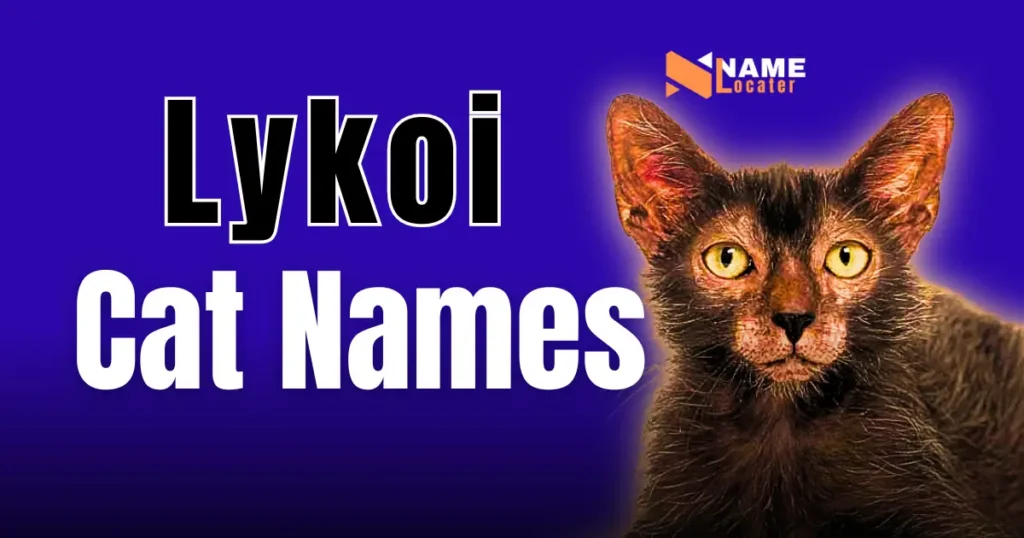 A striking Lykoi cat with a black coat and yellow eyes against a purple background, featuring bold text "Lykoi Cat Names" and the NameLocater logo.