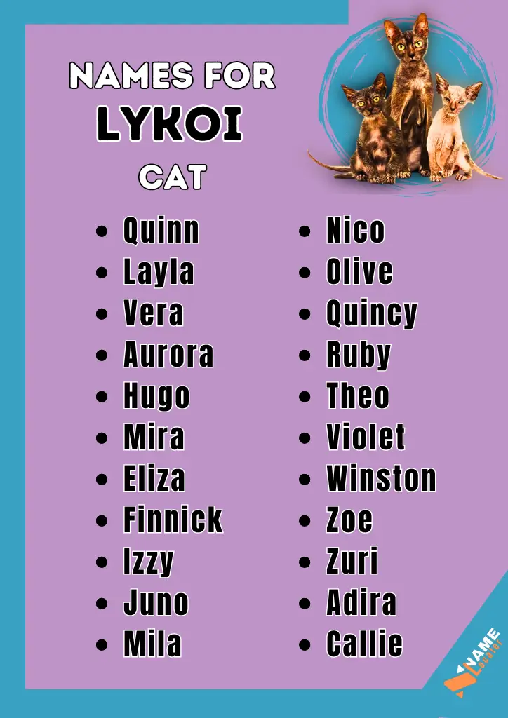 A list of Lykoi cat names in two columns on a purple background, with images of three Lykoi cats at the top-right corner. Names like Quinn, Layla, and Vera are featured, along with the NameLocater logo at the bottom-right.